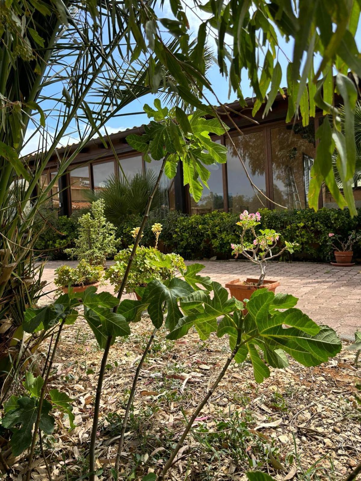 Rifugio Giudeo Guest House Balestrate Exterior photo